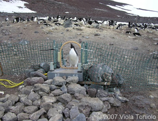 Weigh Station